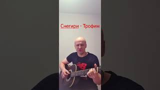 Сергей Трофимов - "Снегири" (кавер)