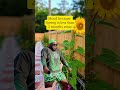 Spring Gardening is Almost Here! #springgarden #springgardening #floridagarden #backyardhomestead