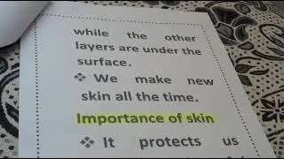 Structure of skin