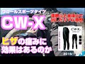 ヒザの痛みに驚愕のCWーX効果・・登山でヒザの痛みに悩まされている方へ！