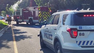 91-year-old woman killed in crash with vehicle