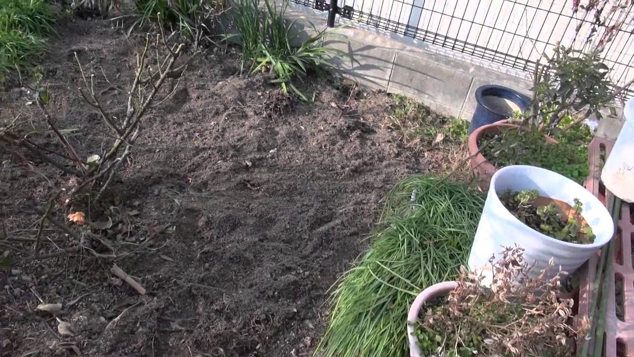1月20日 花壇の整備 - YouTube