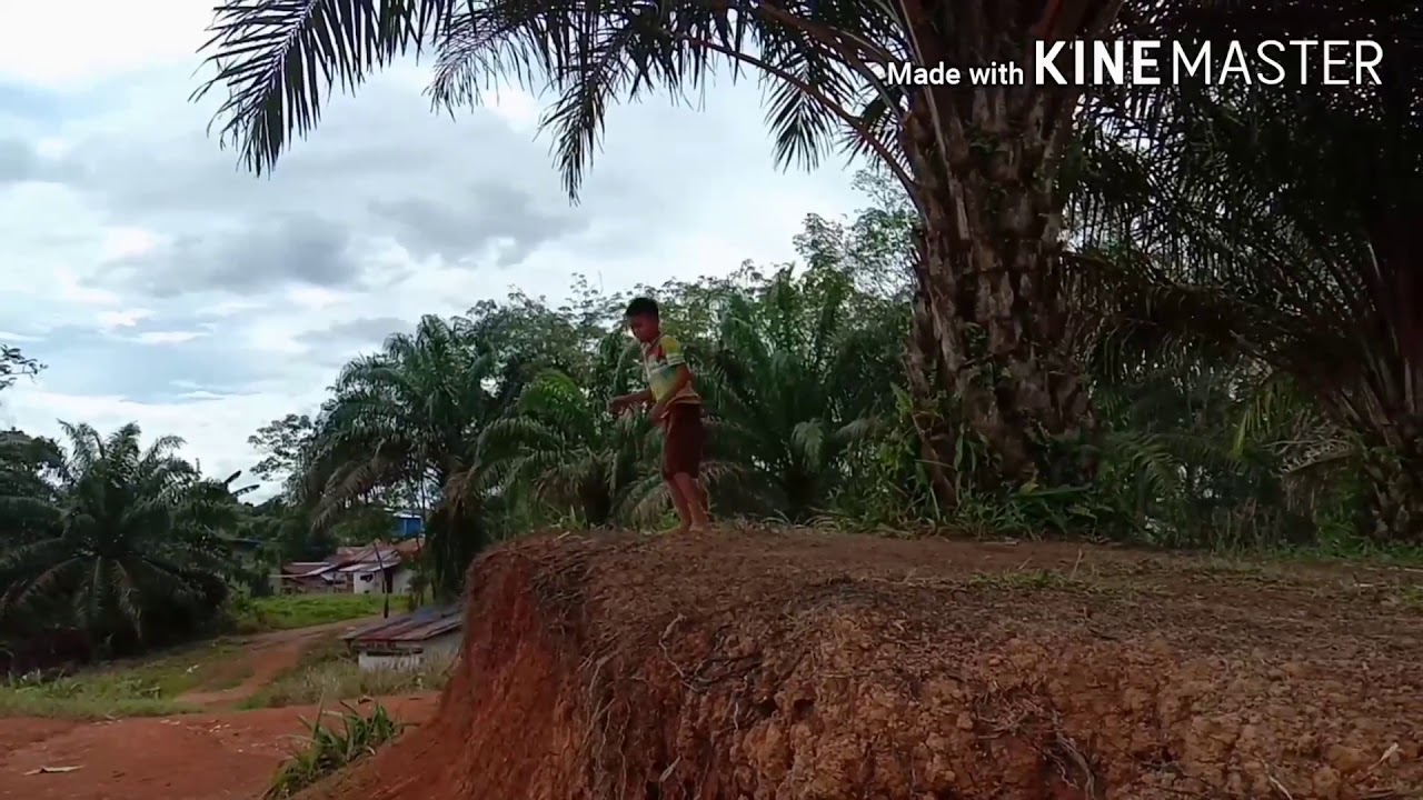 babi anjing - YouTube