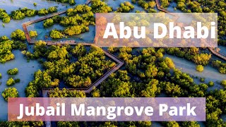 Jubail Mangrove Park Мангровая роща пешая прогулка ОАЭ