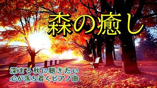 【森の癒し】 深まる秋に聴きたい 心が落ち着くピアノ曲