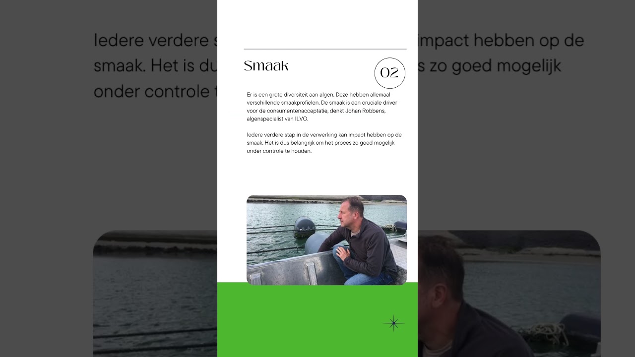 Algen in de eiwittransitie