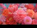 morning radiance 🌸🌷 | refreshing piano melodies to romanticize your day