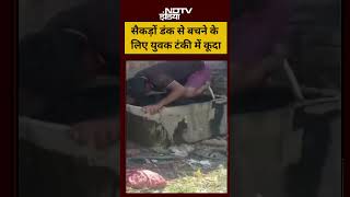 Honey Bee Attack | सैकड़ों डंक से बचने के लिए युवक टंकी में कूदा! #shorts #viralvideo #viral