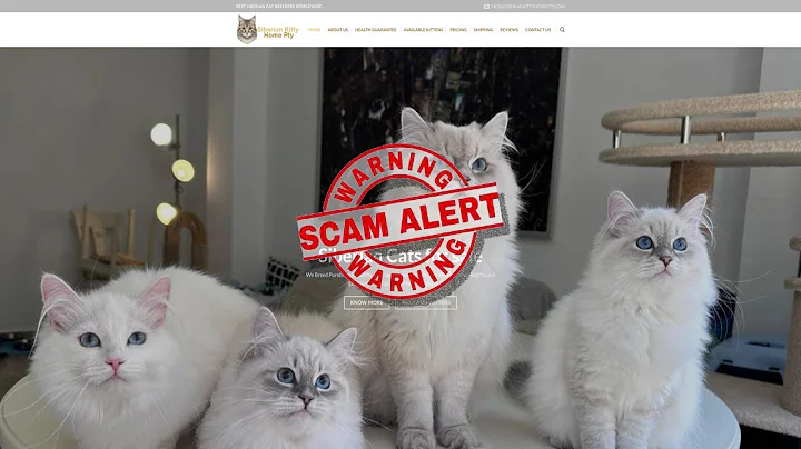 Watch the video about Is Siberiankittyhomepty.com (Siberian kitty home pty) legit or a scam?