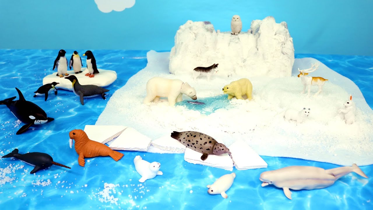 Fun Arctic and Antarctica Animal Figurines and Diorama - Learn Animal Names  - YouTube