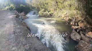 Tassie 28 Lost Falls Meet us Falls Gygnet River West Swan River Hardings Falls