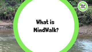 Welcome to the MindWalk Challenge Net Worth