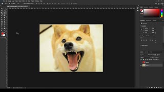 How to Use Photoshop Content-Aware Scale (Amazing results!)