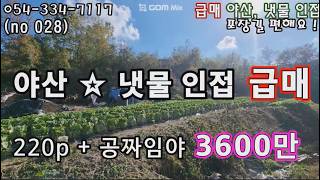 (no 028) 급매 밭 220p+공짜 임야 900p ❤️ 건축 전기 물 ! #영천부동산#영천땅#영천전원주택#영천주택#영천주말농장