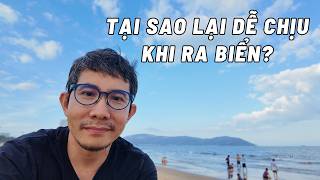 Tại sao chúng ta cảm thấy thoải mái khi ở cạnh biển?