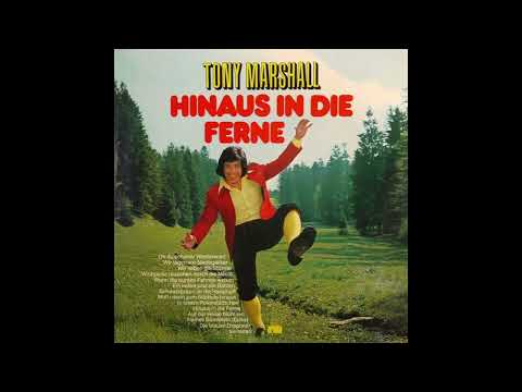 Tony Marshall - Wildgänse rauschen durch die Nacht