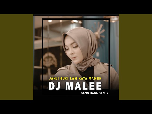 DJ Malee (Remix Aceh) class=