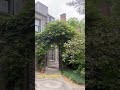 Grey Towers garden