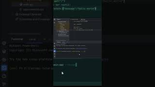 اهم الفلاجز فى fastapi