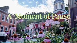 A Moment of Pause 🌿 | Soft Morning Calm ☀️ | Gentle Healing Music
