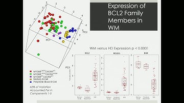 5th International Patient & Physician Summit on WM - Session 4