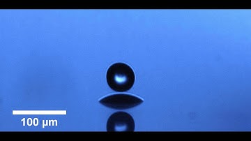 Flow 14 video contest (abstract ID: 1699): "Microdrop impact on a liquid film" by Frommhold et al.