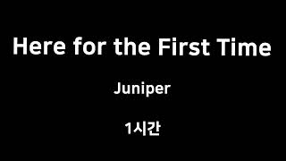 Here for the First Time Juniper 1시간 1hour