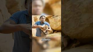 A man was playing with a little lion, but unexpectedly, he was chased by the lioness. #movie #shorts