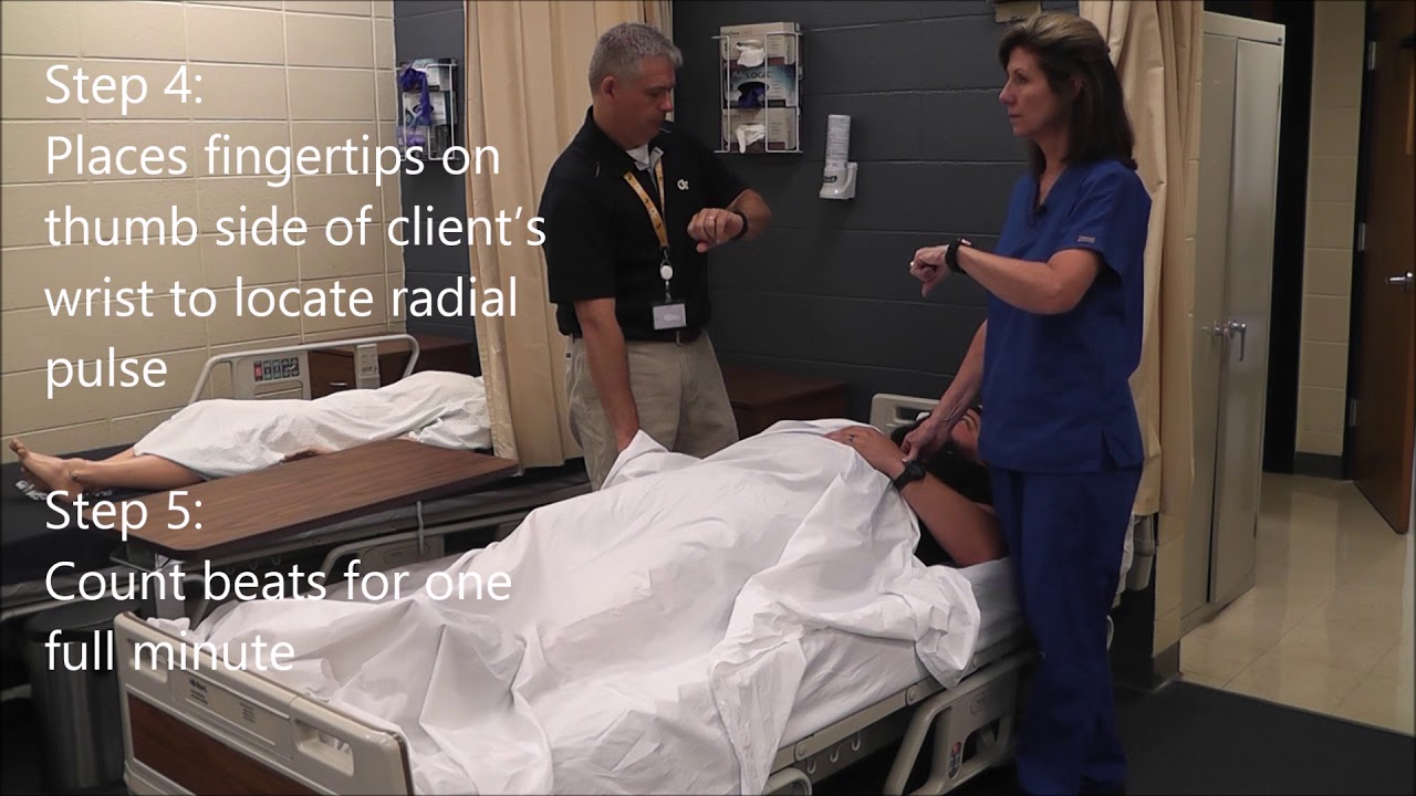 6 Counts and Records Radial Pulse