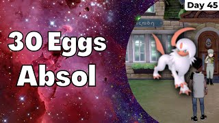 Day 45 Shiny Absol In 30 Eggs