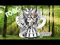 "Roar" (Gcmv) /gacha club Indonesia/