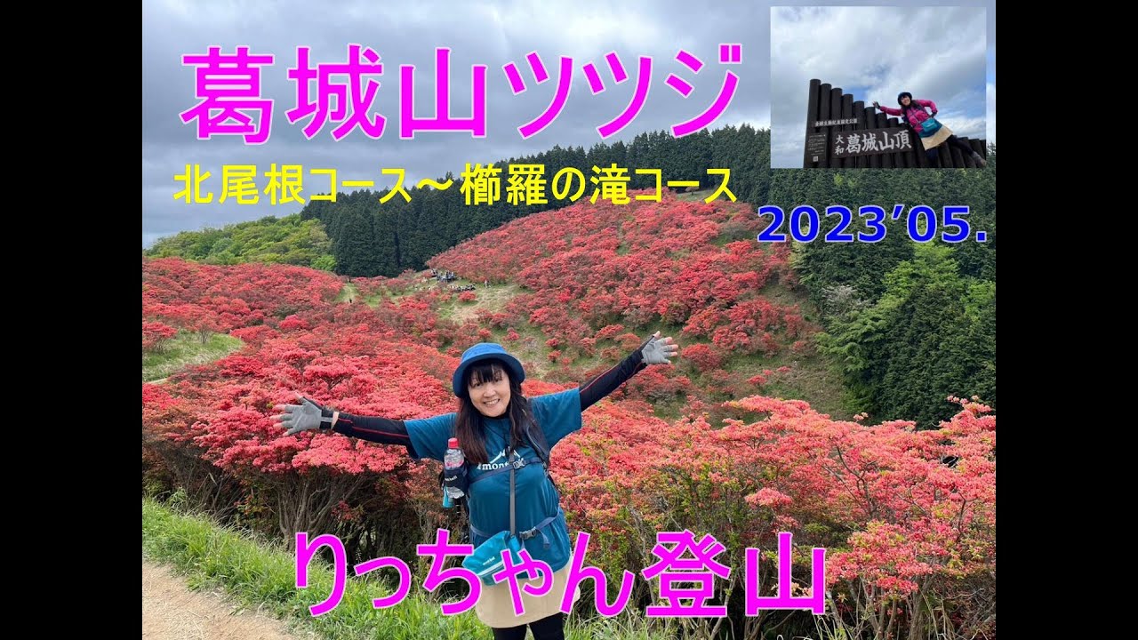 葛城山ツツジ満開！北尾根コース～櫛羅（くじら）の滝コース