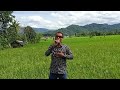 Kertas dan api Mansyur s cover Mili suryana /encek tanggul musik vino cort karoke di vidioin