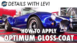 PROTECT YOUR PAINT: How to Properly Apply Optimum Gloss-Coat screenshot 4