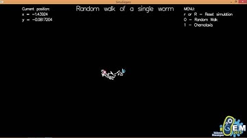 Random Walk [SimuElegans]