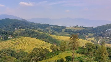 Nghi lễ mừng cơm mới ruộng bậc thang Miền Đồi - Chầu bé Bắc Lệ - Hoài Thanh | Du lịch, ẩm thực