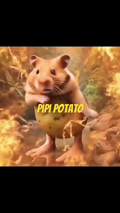 pipi potato