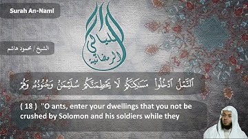 الشيخ محمود هاشم - سورة النمل من الايه  1 إلى الايه 44