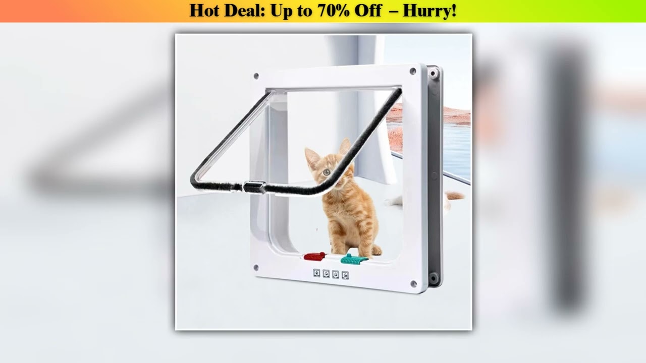 Discount Cat Flap Door with 4 Way Security Lock Puppy Kitten Safety Inout Pet Door ABS Plastic