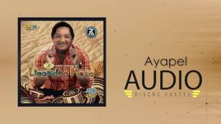 Video thumbnail of "Ayapel - Lisandro Meza / Discos Fuentes"