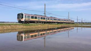 E129系4連〜A train in the paddy field