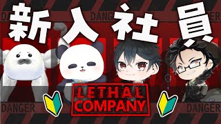 初心者よちよち回収業者！【 Lethal Company 】