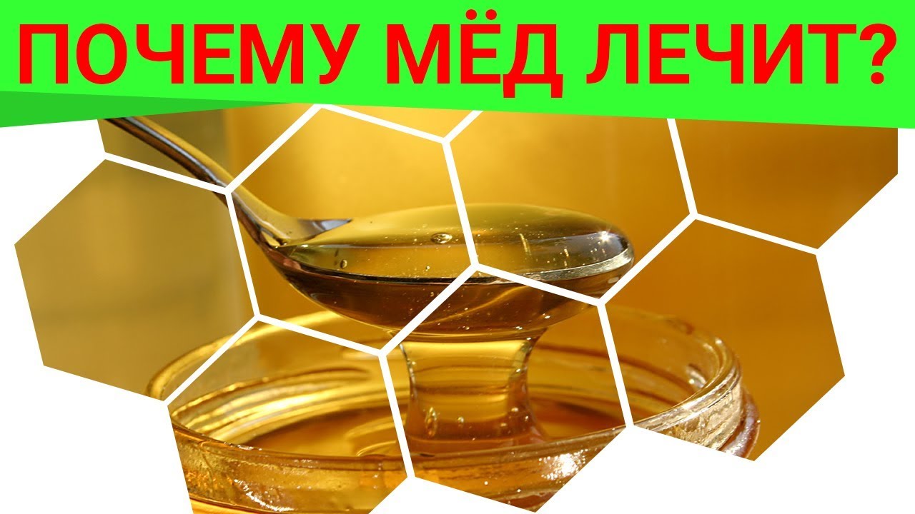 Почему мед лечит? Целебные свойства меда! Почему мед обладает мощной целительной силой?