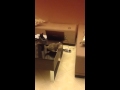 pupa first Jump
