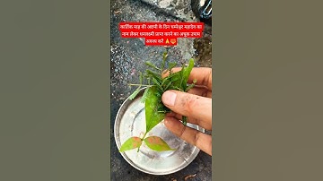 धनसंपदा के लिए कार्तिक माह की अष्टमी के दिन का उपाय जरूर करें🙏🔱#pradeepmishrajikeupay