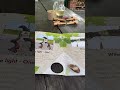 Wine Light