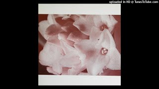 MASONNA : Masonna vs. Bananamara / Shinsen Na Clitoris = 新鮮な