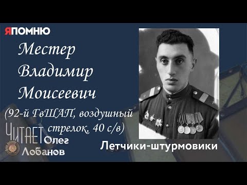Местер Владимир Моисеевич. Проект "Я помню" Артема Драбкина. Летчики-штурмовики.