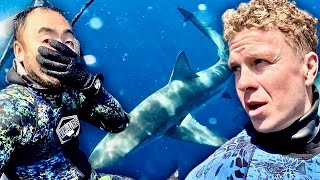 CRAZY Spearfishing (Sharks Frenzy) New Zealand by Ollie Craig - Primal Pursuit 52,217 views 2 months ago 38 minutes