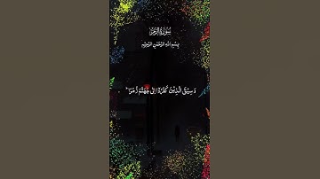 تلاوة خاشعة من سورة الزمر تهز القلوب. Heart Touching Quran Tilawat🩵💙